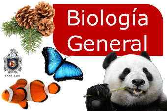 Biologia General Arrastre G300,301,302,303,304